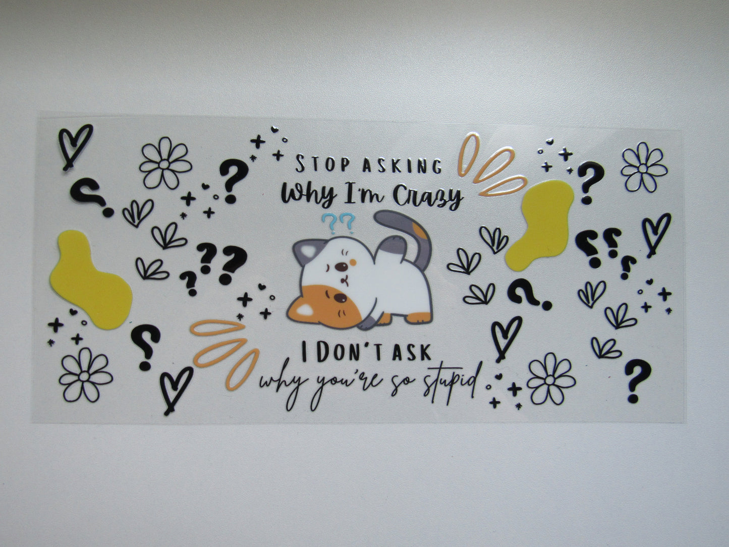 Stop Asking Cat Wrap
