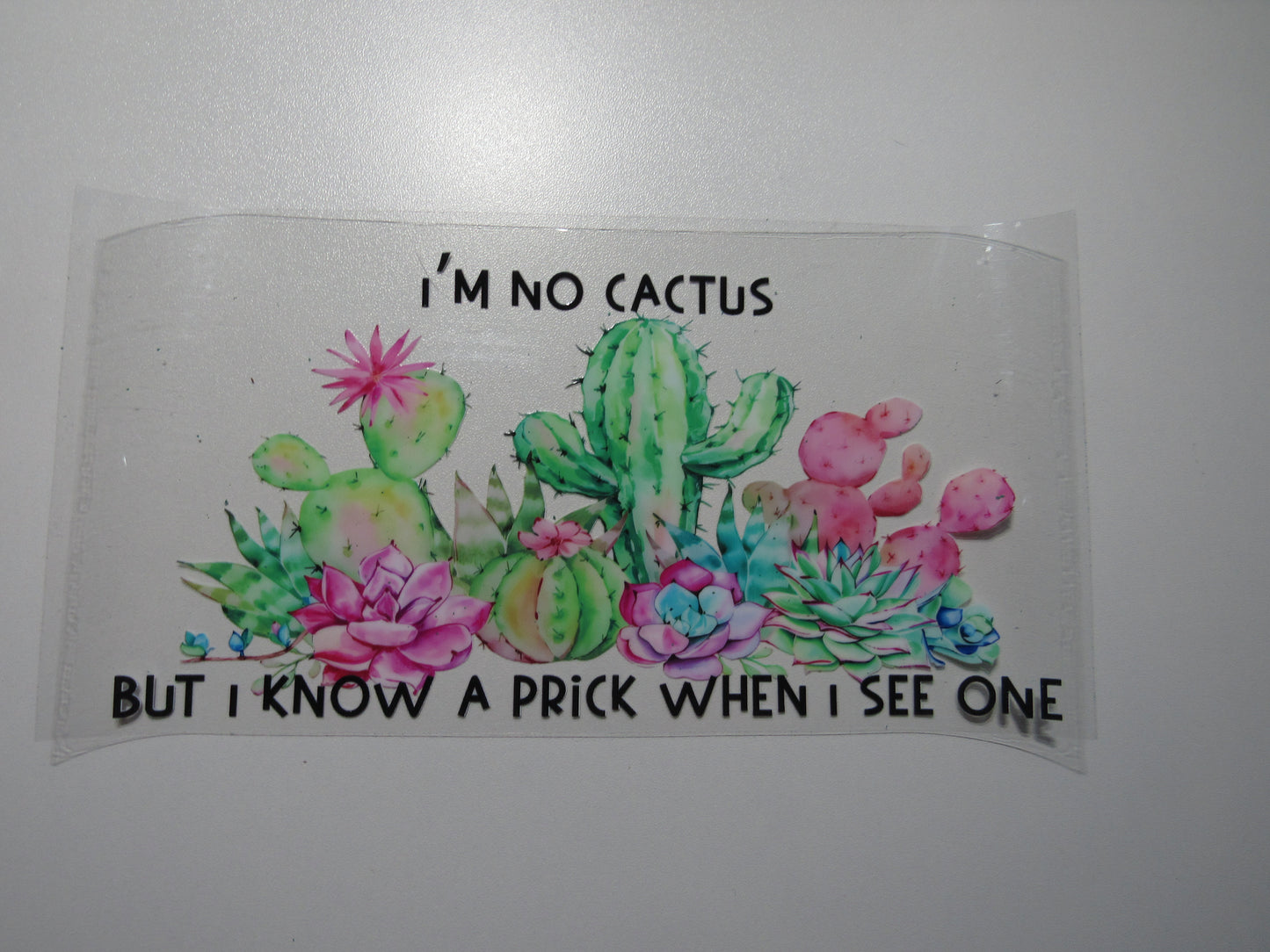 No Cactus Wrap