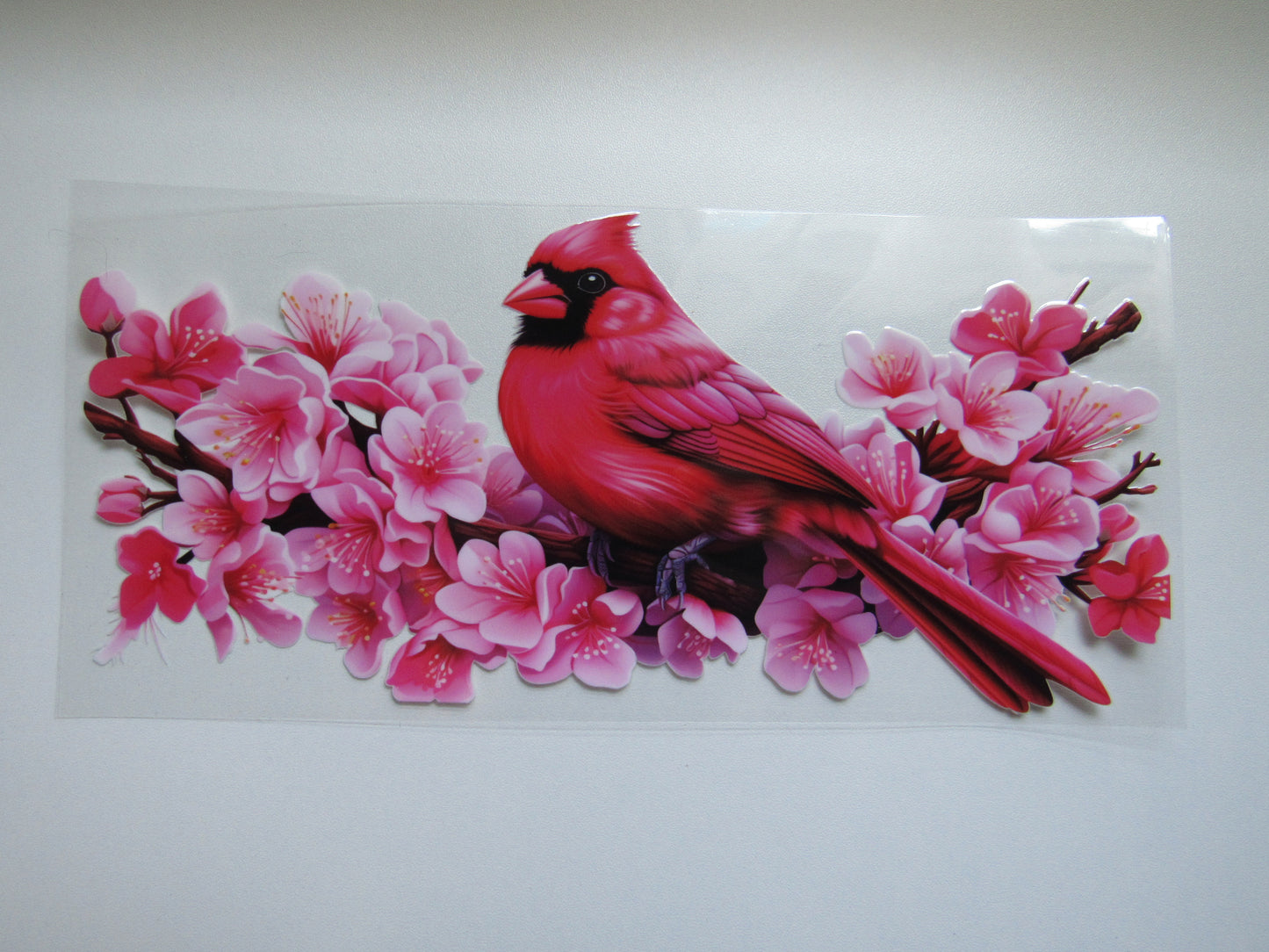 Cardinal Wrap